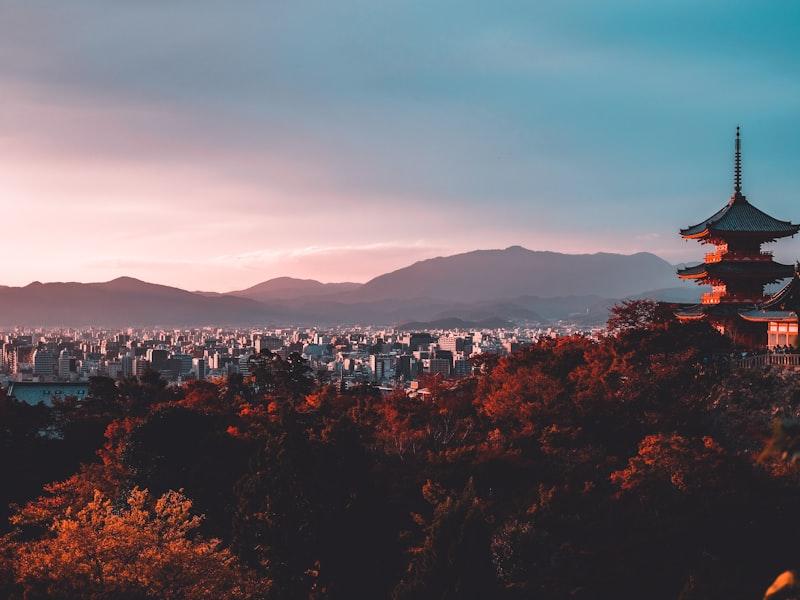 京都の竹林 - Photo on Unsplash