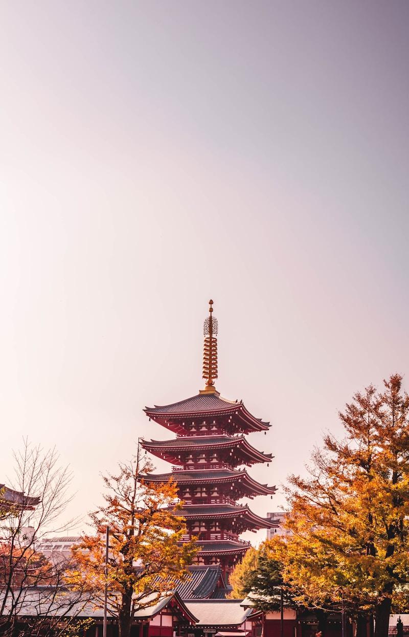 浅草寺の五重塔と紅葉 - Photo on Unsplash